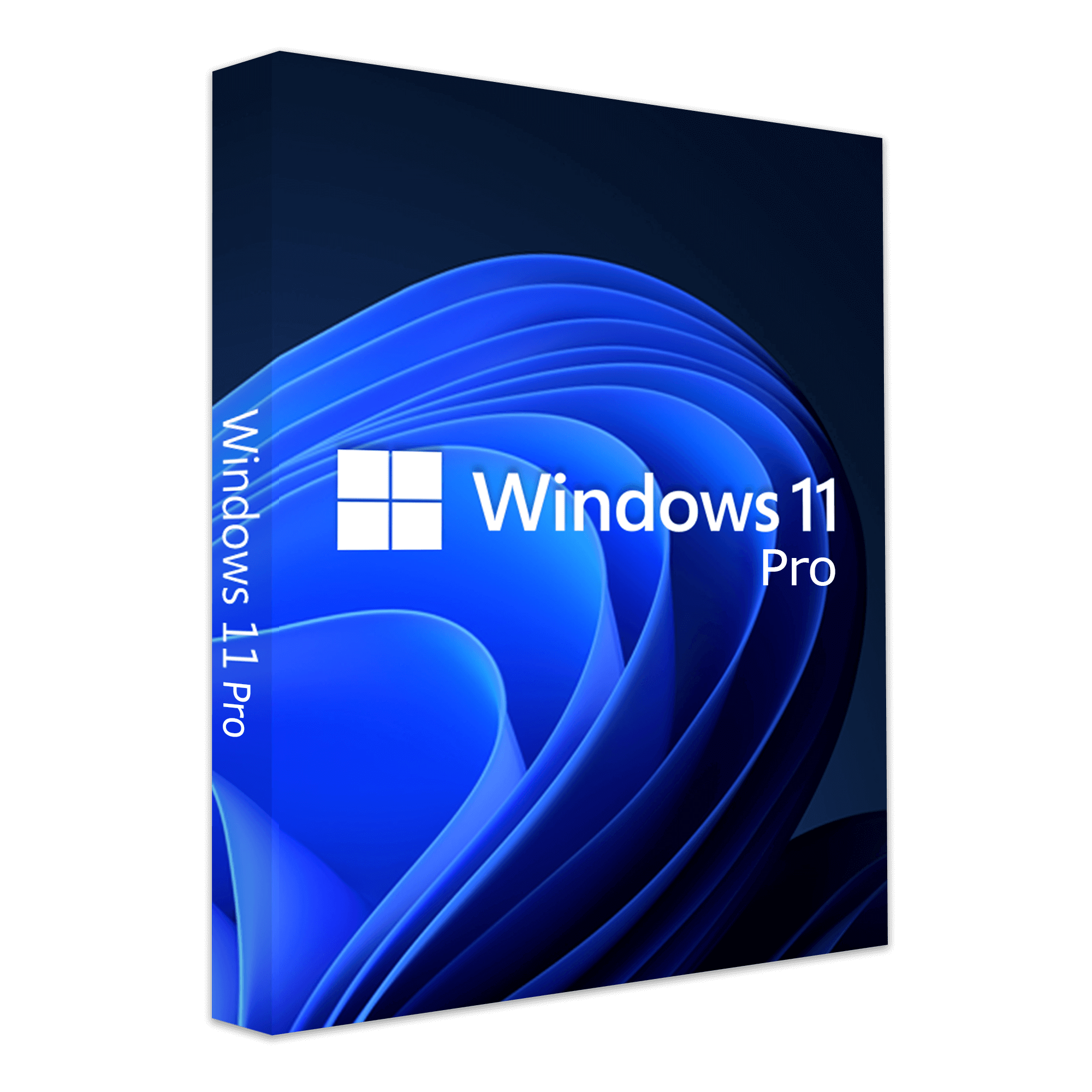 Fil celle loft Windows 11 32/64 Professionel Digital – GameCastle